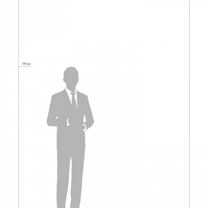 Светильник Freya FR10031CL-L98B